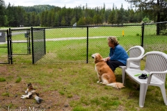 The dog park makes a nice rest stop.