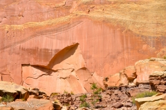 Can you see the petroglyphs?