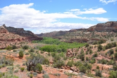 Rocky desert.