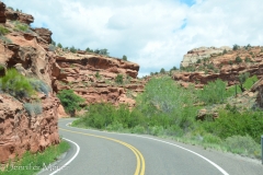 More windy roads.