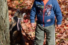 Mason was curious and perplexed by the cat.