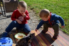 The kids discovered that Gypsy loves Cheerios.