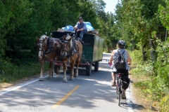 Passing the garbage wagon.