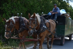 So interesting to think how everything on the island must be transported this way.