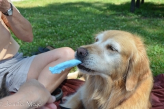 Bailey liked cotton candy.