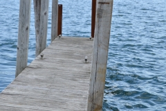 We hung out on the dock a bit.