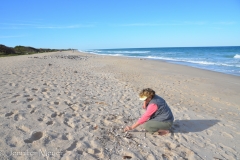 We walked to the beach.