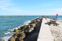 In the morning, Bailey and I walked out to the pier.