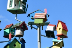 Bird houses.