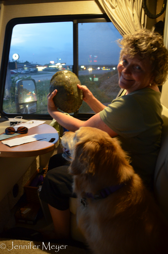 On the way to the campground, Kate rescued a turtle from the road.