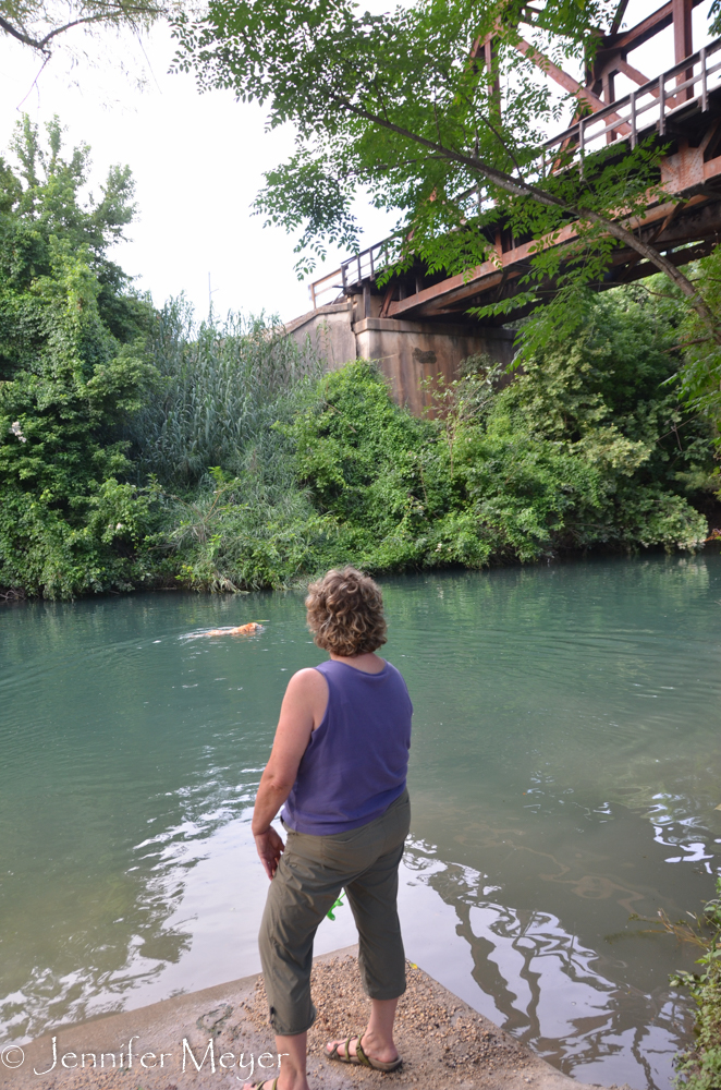 The Comal River was high but not fast, so Bailey could swim.