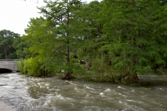 Years ago, at a family reunion, we'd all tubed down the Guadalupe River.