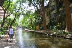 One day we drove into San Antonio and walked along the River Walk.