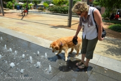 Bailey wasn't sure what to make of the plaza fountain.