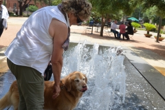 It was so hot, we encouraged her to get wet.